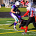 DSC_2145FightingFillies.jpg