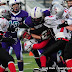 CC3_0006FightingFillies.jpg