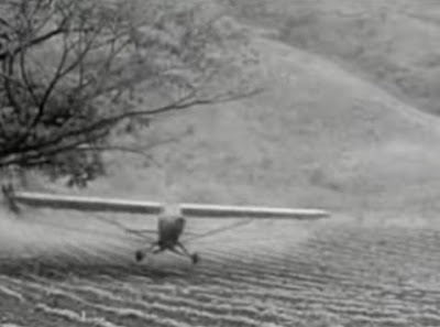 Daredevil crop dusters