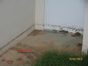 temporal_tnp_15-02-2010