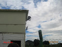 temporal_tnp_15-02-2010