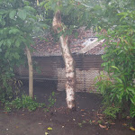 Shack02b.jpg