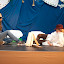 IMG_5011.jpg