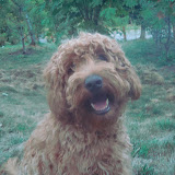 Sire Edleson Tennison