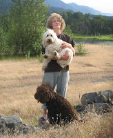 Fun Labradoodles