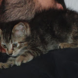 CIMG0529.JPG