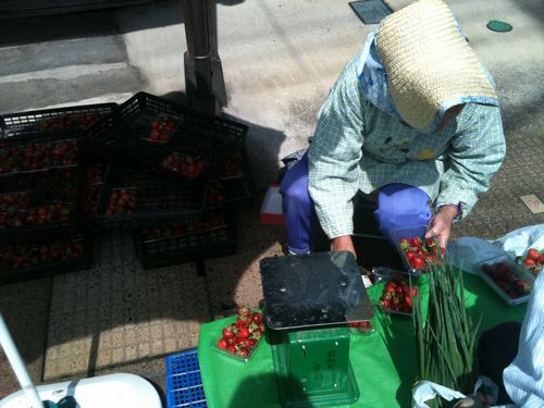 ブブゼラをゲット 軽薄短笑 新潟県上越 妙高発 ブブゼラをゲット 軽薄短笑 新潟県上越 妙高発