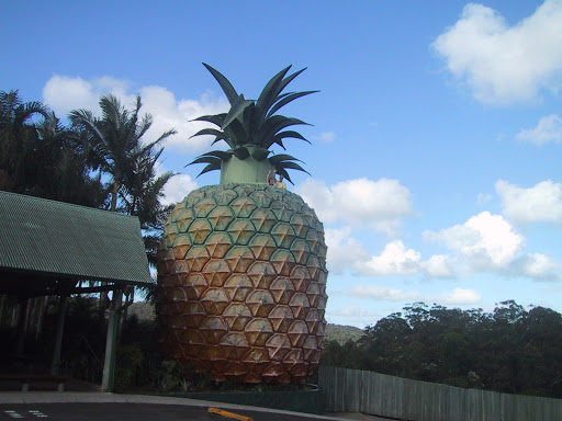 pinapple