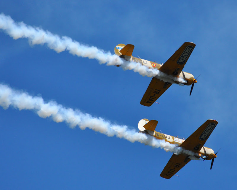 DSC_0585.jpg