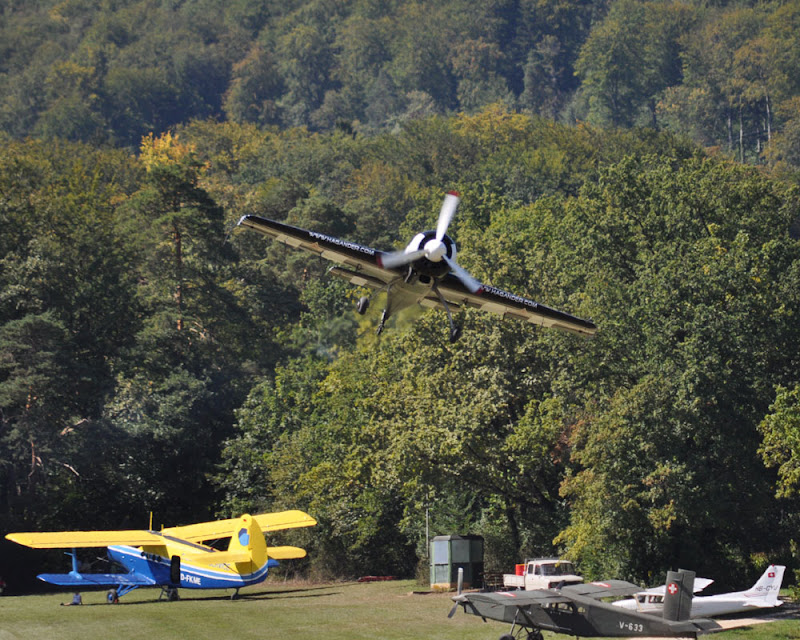 DSC_0872.jpg