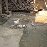 IMG_1196.JPG