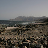 _MG_8544.JPG