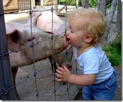 swine-flu
