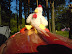 dsc00327.jpg