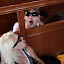 Interview Image Gallery Thumbnail