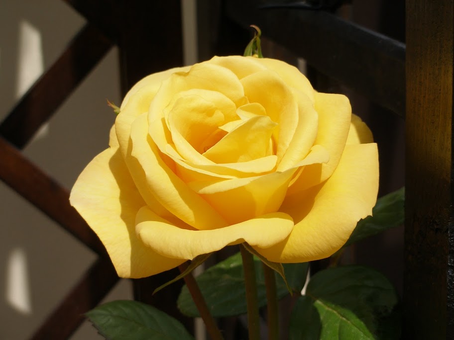 P4300034.JPG