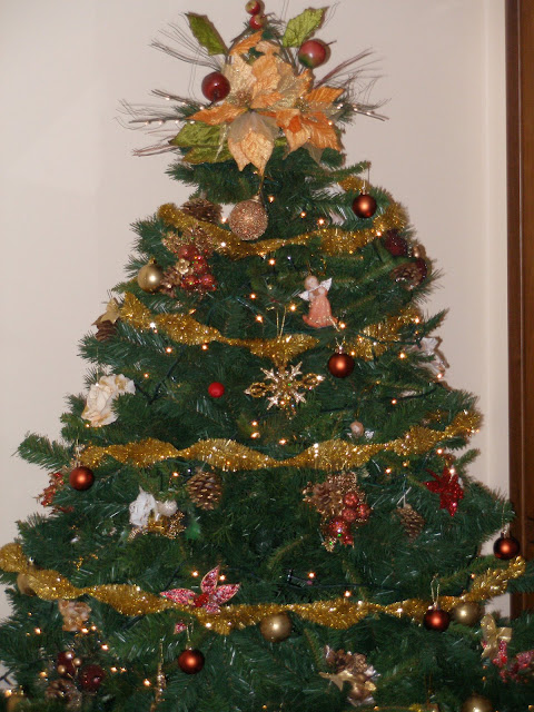febbraio%202007%20013.jpg