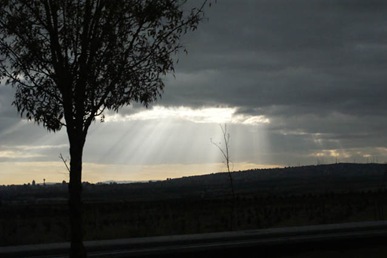 SONY DSC