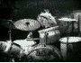 [animal[2].gif]