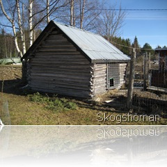 IMG_3480 IMG_3480
