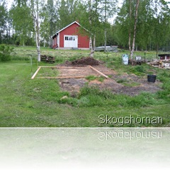 IMG_3500 IMG_3500