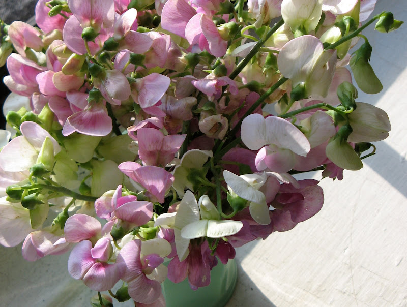 sweet peas