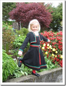 Renates bilder 09 015