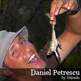 Pictures Daniel Petrescu