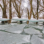 Winter-2010-Danube-Delta_by_Daniel_Petrescu
