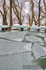 Ice in the Danube Delta_10.JPG
