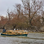 Winter-2010-Danube-Delta_by_Daniel_Petrescu