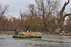 Wood-transport-Danube-Delta_1.JPG