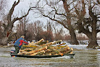 Wood-transport-Danube-Delta_2.JPG