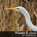 Winter Photography
