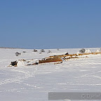 Winter 2009 by Daniel Petrescu