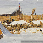 Winter 2009 by Daniel Petrescu