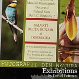 Exhibitions by Daniel Petrescu
