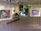 Expo_Paris_Daniel_Petrescu_2.JPG