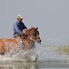 Canon Eos 7D pictures