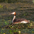 Canon Eos 7D pictures