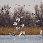 Winter 2011 - January 8th