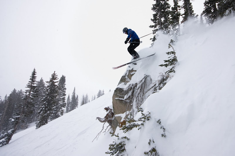 IMAGE: http://lh4.ggpht.com/_g1eUpE8zkKU/S1p0RI0FasI/AAAAAAAAD_I/uZ8m80CaHB8/s800/2010-01-22%20Snowbird.jpg