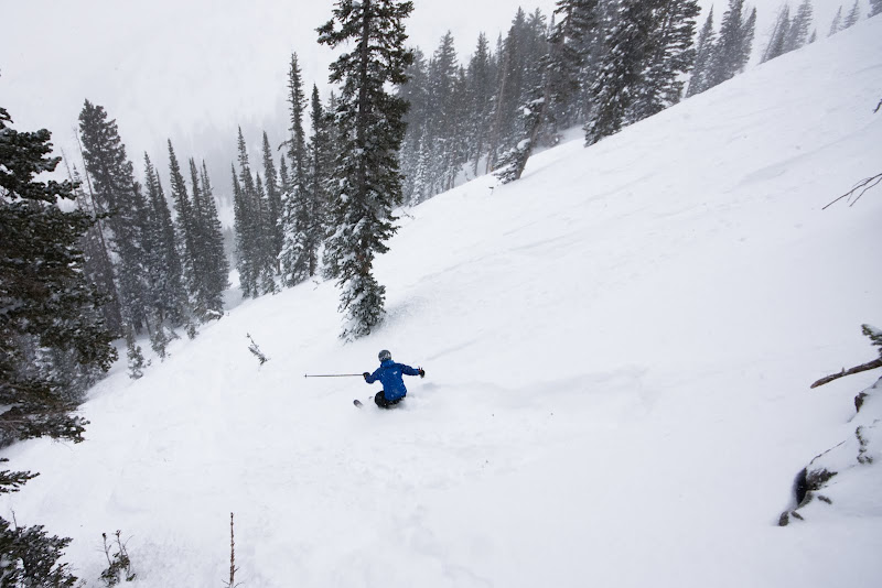 IMAGE: http://lh4.ggpht.com/_g1eUpE8zkKU/S1p0TFTta5I/AAAAAAAAD_g/65YOkgEyVjE/s800/2010-01-22%20Snowbird-7.jpg