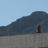 IMG_3953.JPG