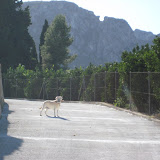 IMG_3957.JPG
