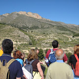 IMG_8690.JPG