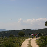 IMG_8095.JPG