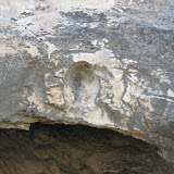 IMG_8763.JPG