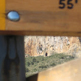 IMG_8776.JPG