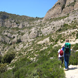 IMG_8799.JPG